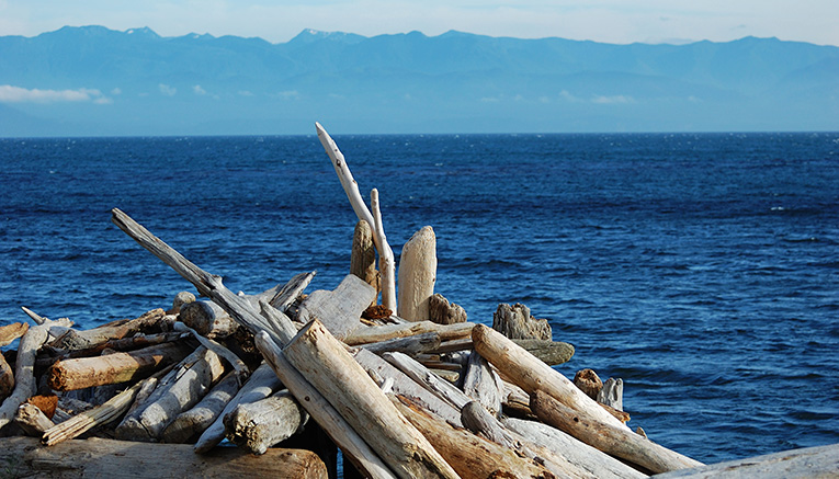 Wpsi-sanjuanislands-walking-14